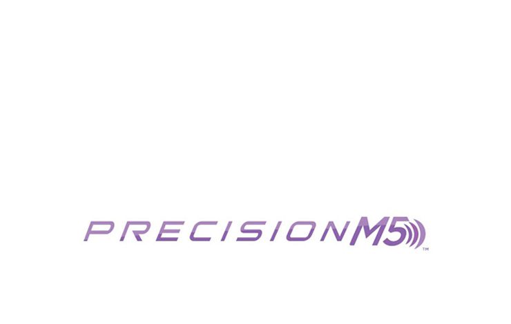 Precision M5 Logo Design