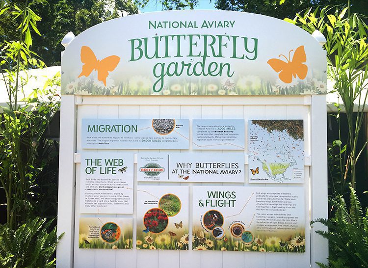 National Aviary Butterfly Garden