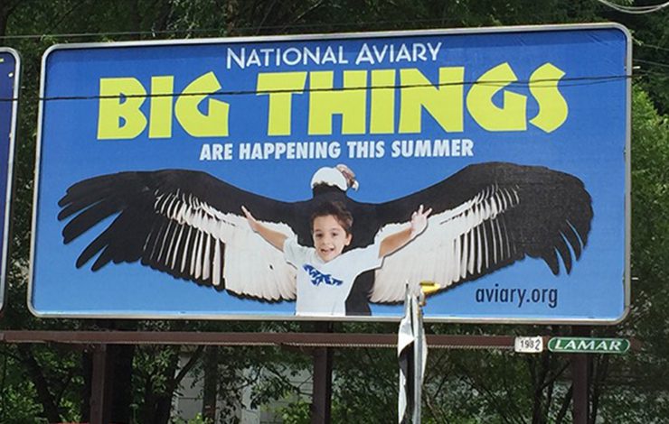 National Aviary Billboard