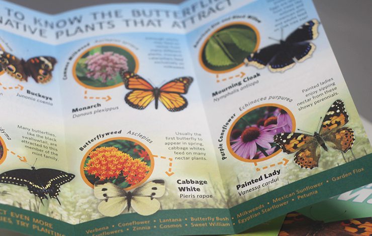 National Aviary Butterfly Garden Publication