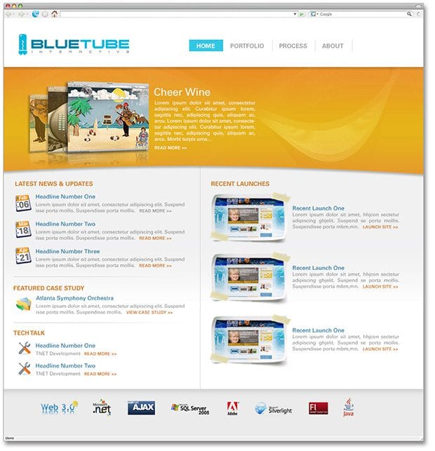 bluetube website design website programming pittsburgh