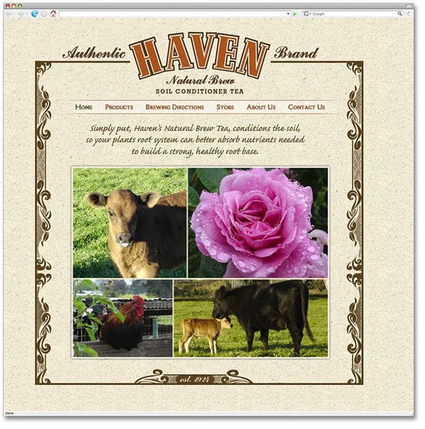 haven website design website programming pittsburgh